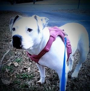 Meet your Posher, Tamara